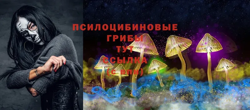 Галлюциногенные грибы MAGIC MUSHROOMS  Калтан 